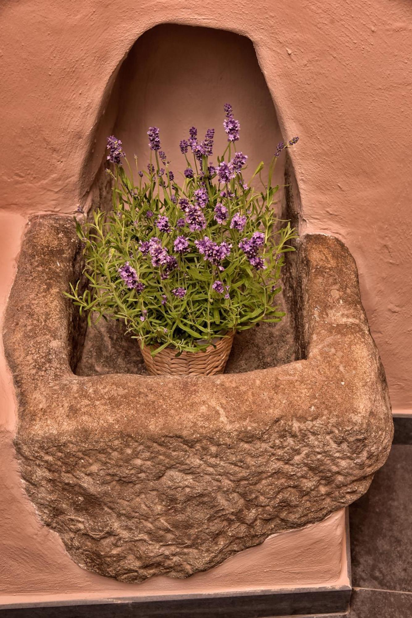 Casa Vacanze Tra I Monti E San Martino Biassa ภายนอก รูปภาพ
