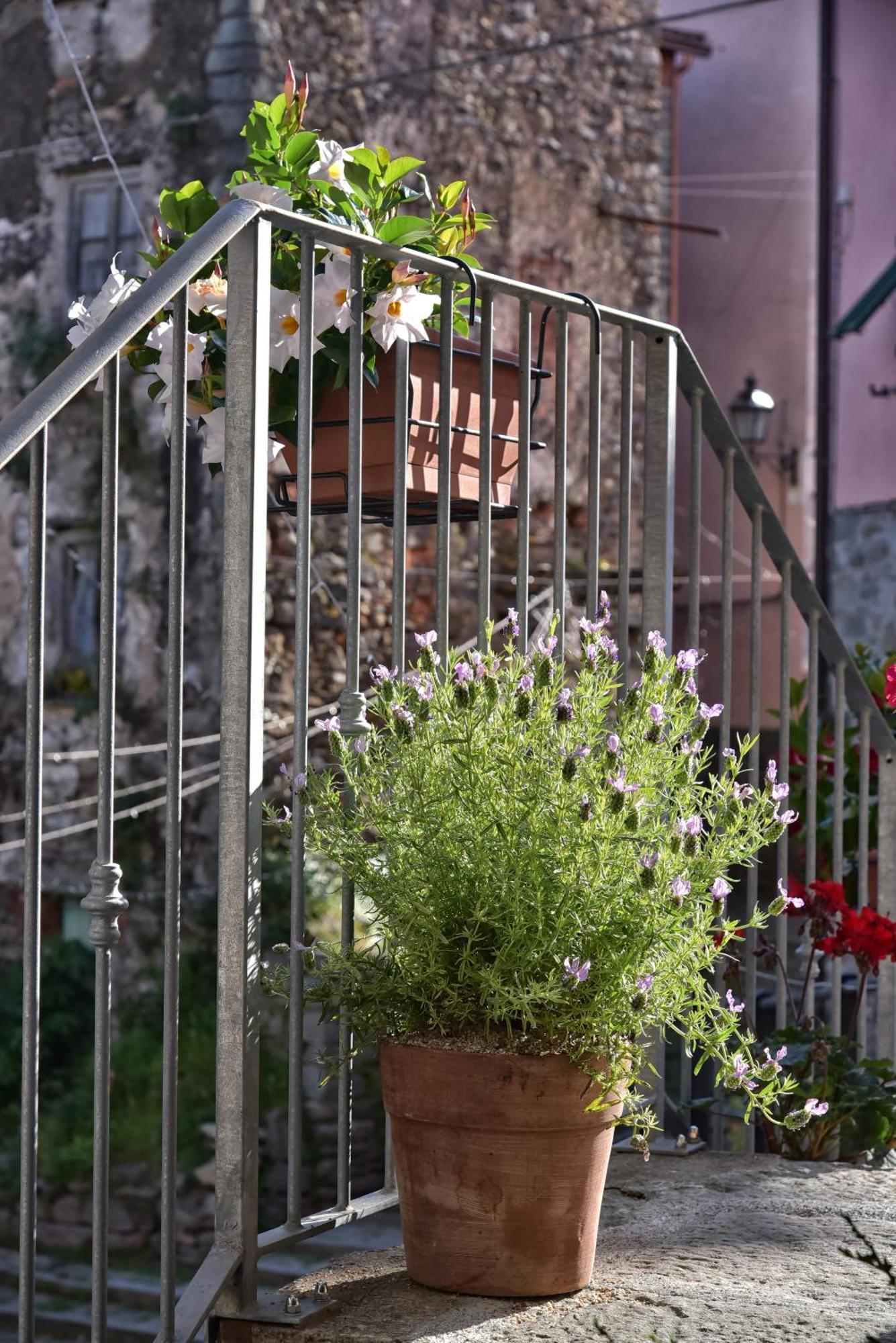 Casa Vacanze Tra I Monti E San Martino Biassa ภายนอก รูปภาพ